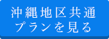 沖縄地区共通プラン