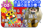 10大特典 八重山民俗園