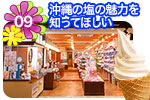 10大特典 塩屋（まーすやー）石垣店