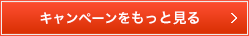 キャンペーンをもっと見る